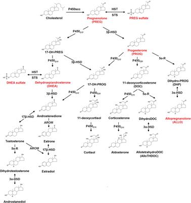 Neurosteroids in Schizophrenia: Pathogenic and Therapeutic Implications